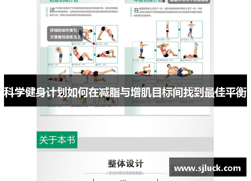 科学健身计划如何在减脂与增肌目标间找到最佳平衡